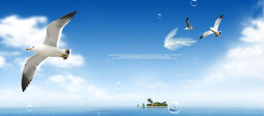 1600069850925118.jpg 1111.jpg